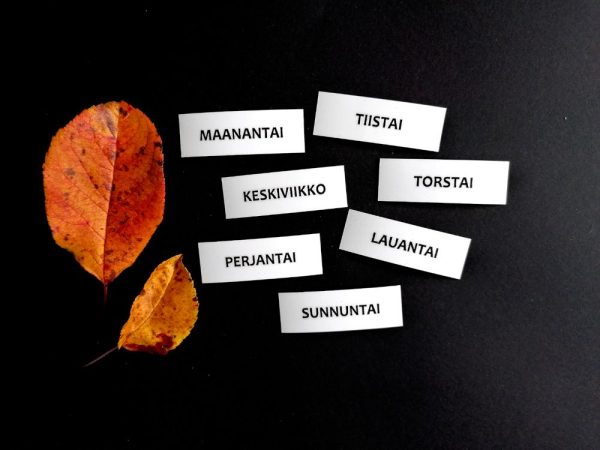 Nepsy Tips lapsen toiminnanohjauksen tukemiseen suunniteltu mustavalkoiset magneettiset kuvatukikortit Viikonpäivät kuvatukisarja.