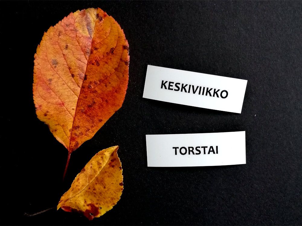 Nepsy Tips lapsen toiminnanohjauksen tukemiseen suunniteltu mustavalkoiset magneettiset kuvatukikortit Keskiviikko ja Torstai, jotka kuuluvat Mustavalkoiseen Viikonpäivät kuvatukisarjaan