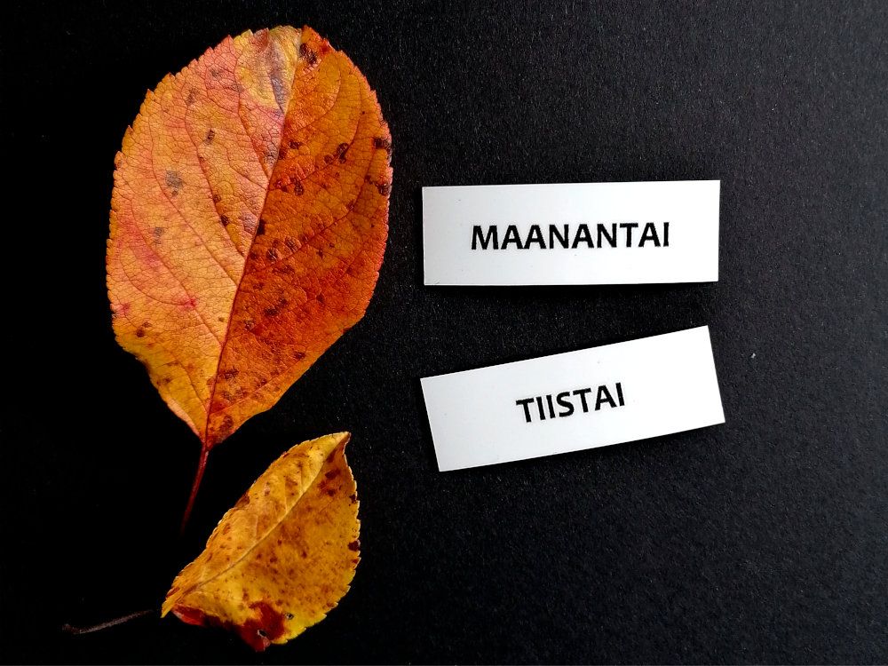 Nepsy Tips lapsen toiminnanohjauksen tukemiseen suunniteltu mustavalkoiset magneettiset kuvatukikortit Maanantai ja tiistai, jotka kuuluvat Mustavalkoiseen Viikonpäivät kuvatukisarjaan