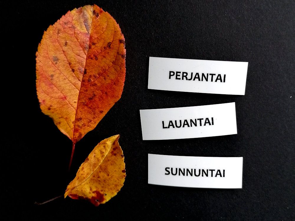 Nepsy Tips lapsen toiminnanohjauksen tukemiseen suunniteltu mustavalkoiset magneettiset kuvatukikortit Perjantai, Lauantai ja Sunnuntai, jotka kuuluvat Mustavalkoiseen Viikonpäivät kuvatukisarjaan.