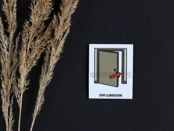 Nepsy Tips lapsen toiminnanohjauksen tukemiseen suunniteltu magneettinen kuvatukikortti Ovi lukkoon, joka kuuluu Koululaisen muistilista kuvatukisarjaan. Ovi lukkoon kuvatukikortissa on ulko-ovi ja punainen nuoli näyttämässä oven laittamista kiinni.