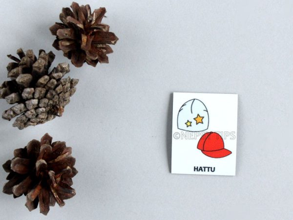 Nepsy Tips lapsen toiminnanohjauksen tukemiseen suunniteltu magneettinen kuvatukikortti Hattu, joka kuuluu Pukukortti kuvatukisarjaan. Hattu kuvatukikortissa on punainen lippis ja harmaa pipo.