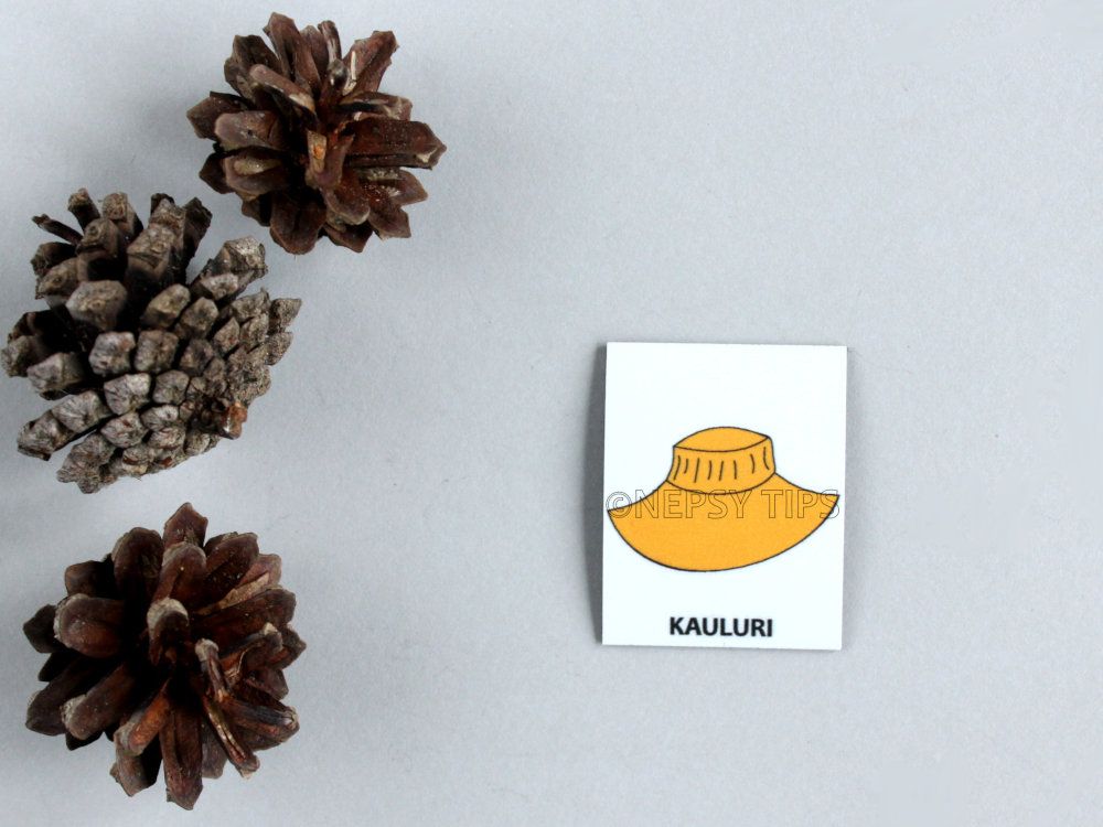 Nepsy Tips lapsen toiminnanohjauksen tukemiseen suunniteltu magneettinen kuvatukikortti Kauluri, joka kuuluu Pukukortti kuvatukisarjaan. Kauluri kuvatukikortissa on oranssi kauluri.
