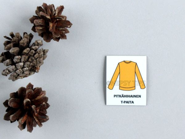 Nepsy Tips lapsen toiminnanohjauksen tukemiseen suunniteltu magneettinen kuvatukikortti Pitkähihainen t-paita, joka kuuluu Pukukortti kuvatukisarjaan. Pitkähihainen t-paita kuvatukikortissa on oranssi pitkähihainen t-paita.