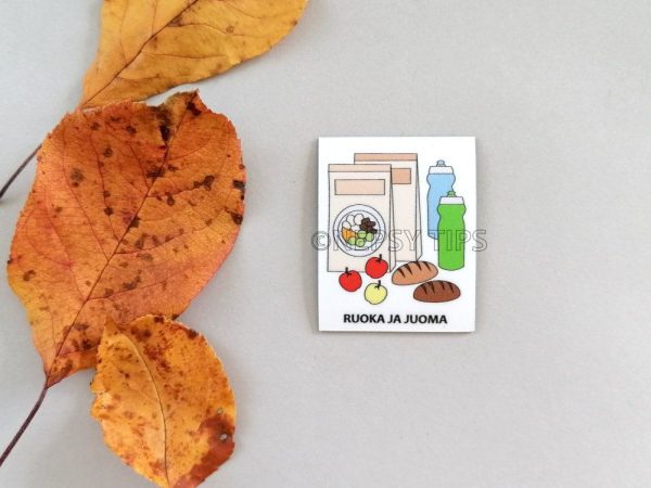 Nepsy Tips lapsen toiminnanohjauksen tukemiseen suunniteltu magneettinen kuvatukikortti Ruoka ja juoma, joka kuuluu Retkelle kuvatukisarjaan. Ruoka ja juoma kuvatukikortissa on pussiruokaa, juomapulloja, omenoita ja leipää.
